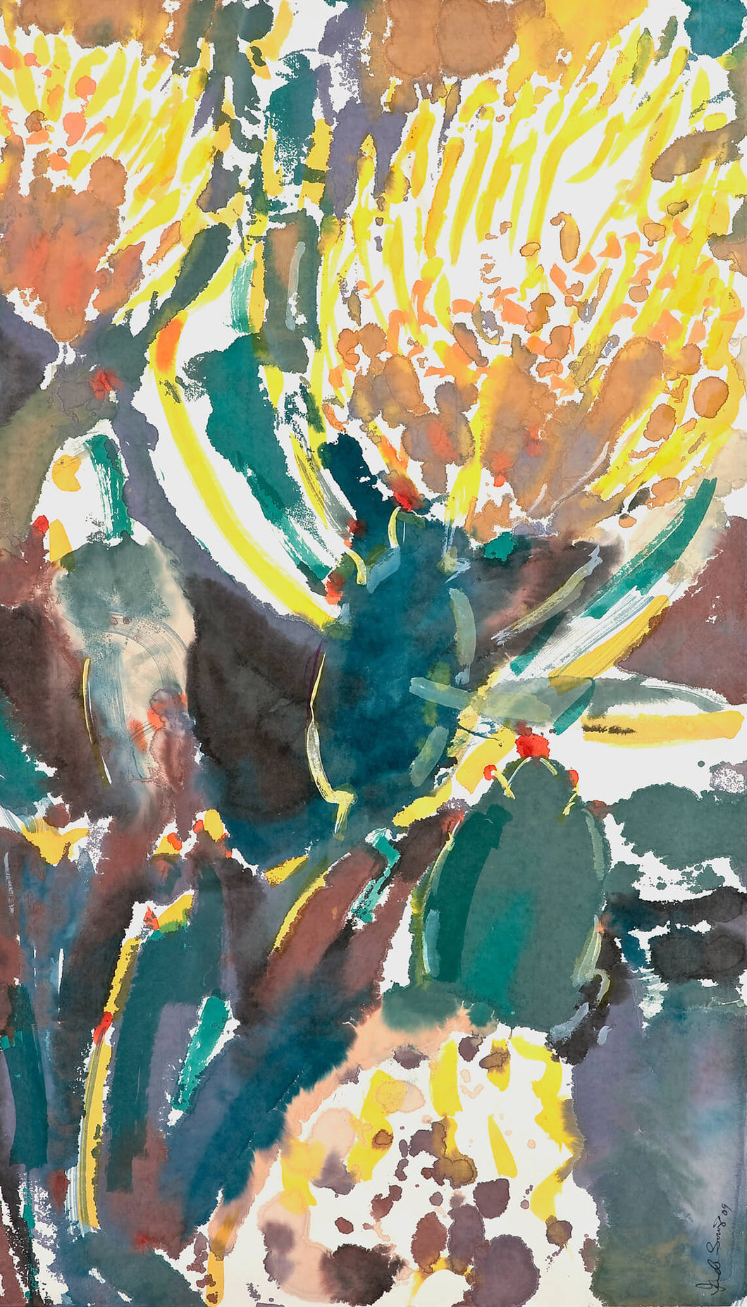 Banksia amarta: Limited Edition Print