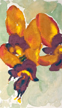 Load image into Gallery viewer, Diuris amplissima: Limited Edition Print
